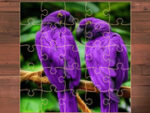 Animale exotice Jigsaw